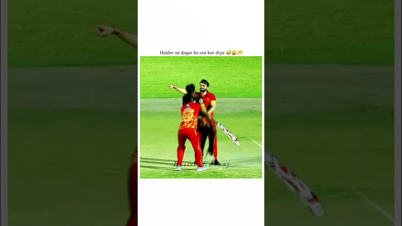 Haider ne dogar ko out kar diya 😂😜😁 #Rajab family @EditsbyEmraaj