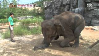 2013-09-01 TV동물농장 #5(8)