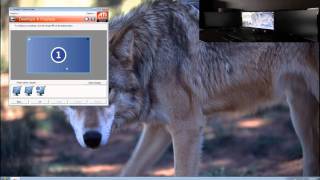 Eyefinity setup tutorial