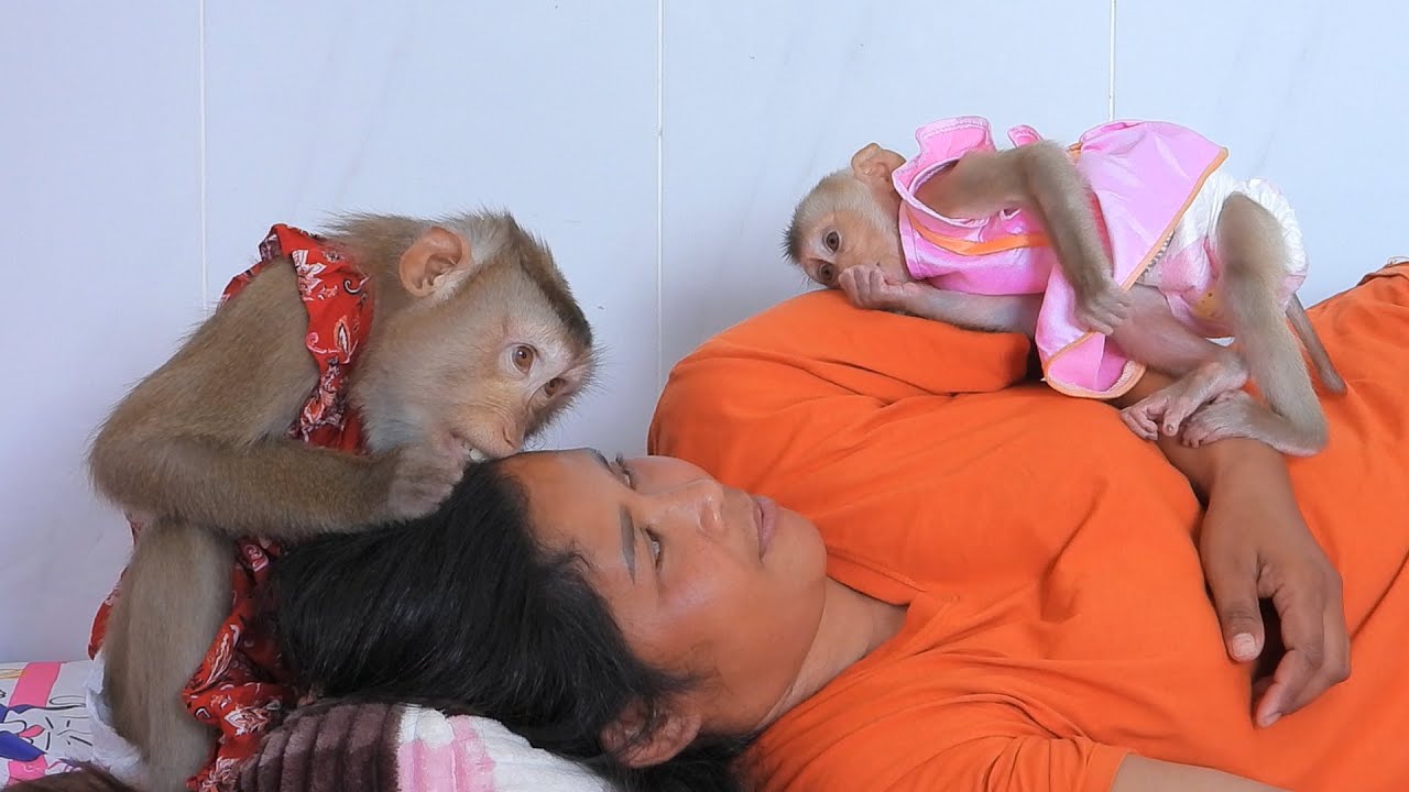 Obedient Girl Luna With Valen Naps And Grooming Mom