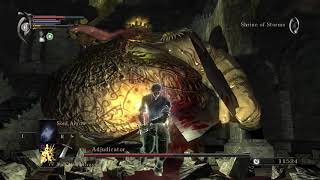 Demons Souls | Adjudicator (SL1 PBWT Melee Only Flawless)