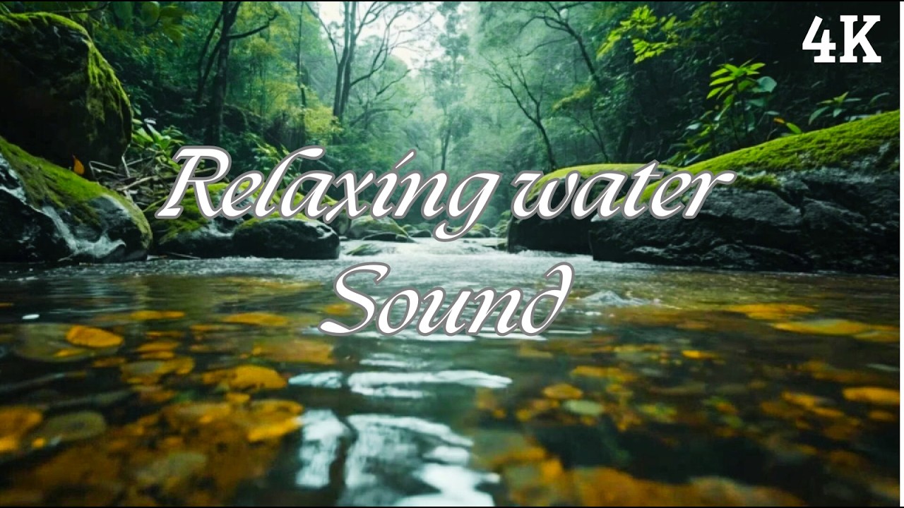 Forest Stream White Noise 🌊 Running Water for Focus, Study & Work