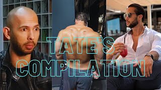 Tates Compilation