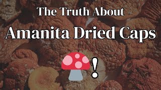 Amanita Muscaria Preparation Intro:  Working w/ Dried Caps