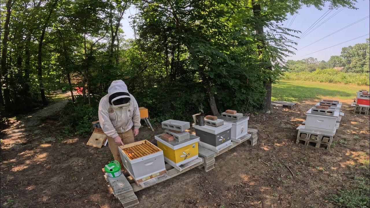 Final Apiguard Application