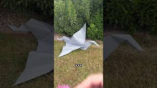 Watch till the end for a surprise! #shorts