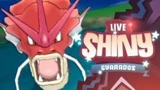 LIVE: Red Gyarados = Shiny Gyarados