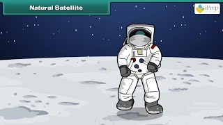 Celebrity Class 5 EVS Chapter - 11 "Sunita in Space" english Environmental studies cbse ncert Looking Around Wealth