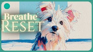 Breathe, Reset — Music to Focus | ClearWave Sessions