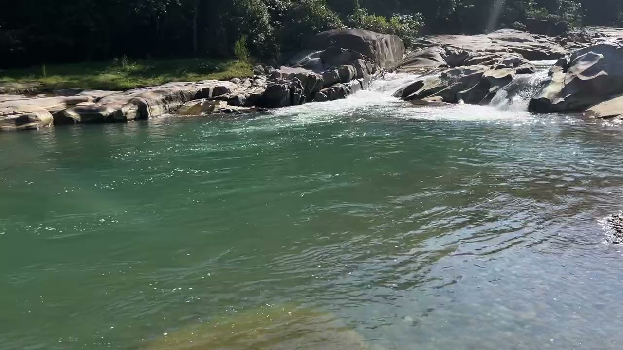 Crystal Clear Stream in the Deep Forest | Calm & Healing Nature