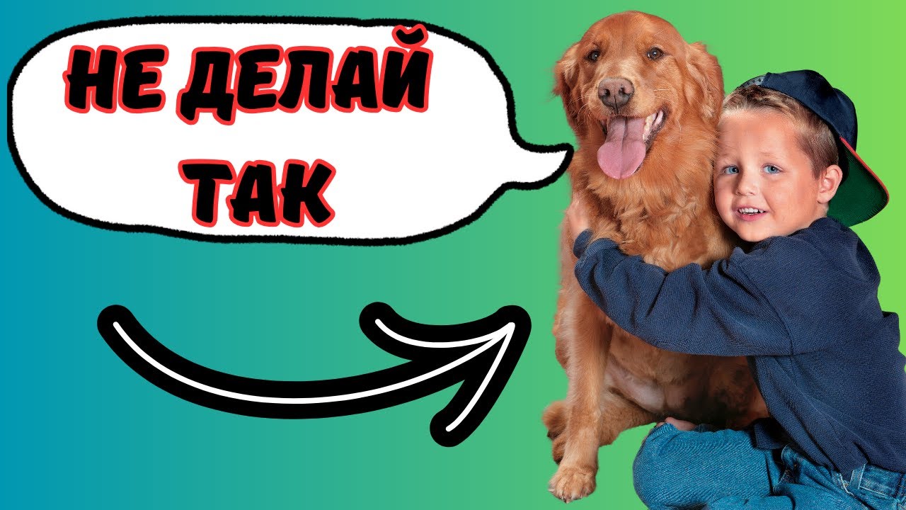 ✅ 15 ВЕЩЕЙ, КОТОРЫЕ СОБАКИ НЕНАВИДЯТ В ЛЮДЯХ. Что бесит собак в людях?