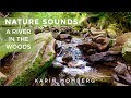 Nature Sounds - Relaxing River Sounds - Water Sounds for Sleeping, Studying, Relaxing, Meditating.