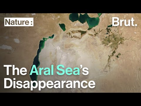 Video: The Great Aral Sea: causes of death, history, photos
