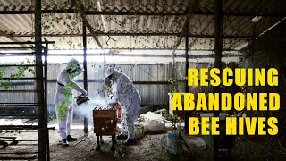 Rescuing Abandoned Bee Hives