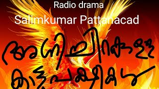 അഗ്നി ചിറകുള്ള കാട്ടുപക്ഷികള്‍ .radio drama . Part -1 screenshot 1
