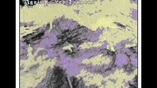 Mount Depression - Led Tsunami