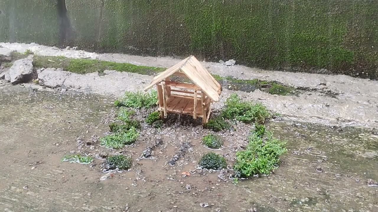 Rain for sleeping,rain sound,rain for natural,relaxation,asmr 