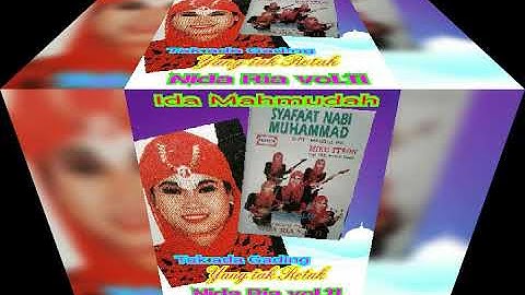 NIDA RIA VOL.11 - TAK ADA GADING YANG TAK RETAK