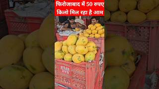 👉 "₹50/kg Mango 😱 Firozabad Market Mein Aam Ka Dhamaka | Cheapest Mango in India 2026"👉 Alternative