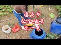 只要你想干就有干不完的活!#一份耕耘一份收获 #忙忙碌碌一天 #我的小菜园 #三农