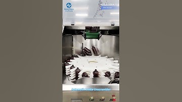 Automatic Bottle Unscrambler for 500ML Shampoo HYLP-100A-D