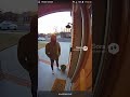 The 5-Second Disappearance 👤🌤️ #unexplained #cameraglitch #viralmystery #replaythat