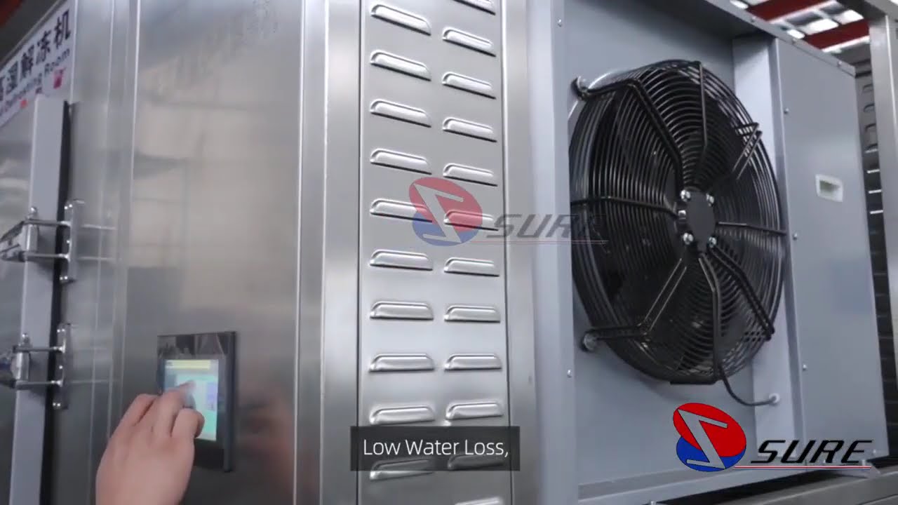 ❄️ Low Temperature High Humidity Defrosting Room | Gentle & Even Thawing for Frozen Products