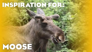 7 Real Moose Habitats! (Planet Zoo Inspiration)
Today were looking at some real life Moose habitats!
00:00 Intro
00:21 Tierpark Berlin
00:44 Natuurpark Lelystad
01:39 Wildpark Lüneburger Heide
02:58 Monde Sauvage
03:59 Pairi Daiza
05:22 Zoo Rostock
06:02 Zoom Erlebniswelt
You can check out my Steam Workshop Submissions here: https://steamcommunity.com/id/justGoron/myworkshopfiles/?appid=703080
Become a member! https://www.youtube.com/@justGoron/join
Twitter me @justGoron!
Check out my second channel: https://www.youtube.com/user/Goronstuff
Join my discord server: https://discord.com/invite/32xFNxkg8H 7 Real Moose Habitats! (Planet Zoo Inspiration)