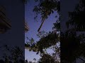 Cloud gazing kind of day#youtubeshorts #viralvideo #viral #youtube
