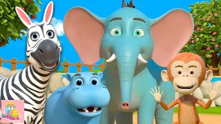 Animali Dello Zoo Canzone di Apprendimento per Bambini in Età Prescolare