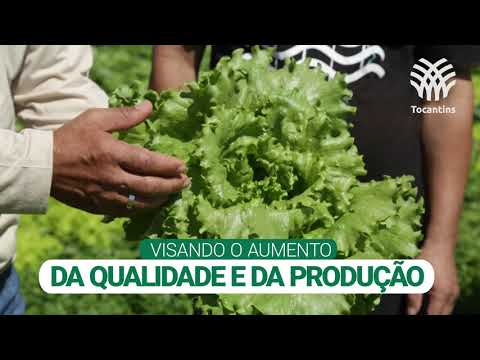 Curso de Olericultura Orgânica é realizado pelo SENAR