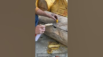 Log Hive Attraction Secret : Melting Beeswax Flames !