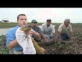 Jeff Corwin e a Sucuri  na Venezuela