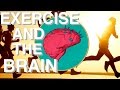 Why exercise is so underrated brain power  movement link