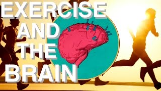 WHY Exercise is so Underrated (Brain Power & Movement Link) screenshot 3