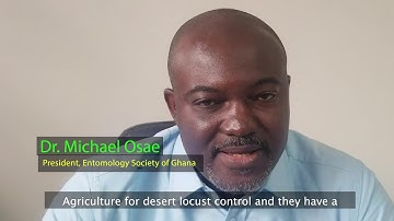 Fighting desert locusts without pesticides