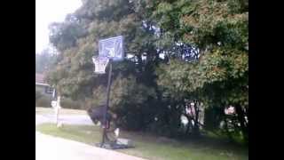 Cedric Cook Dunk Session
