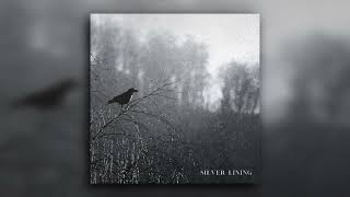 Silver Lining (Audio) - Daniel Collier, USER ERROR