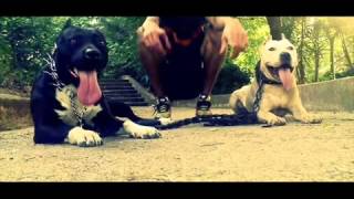 A.c.a.b Didin Klach Mc Majnon Riad Bourobaz Skimi Fugi