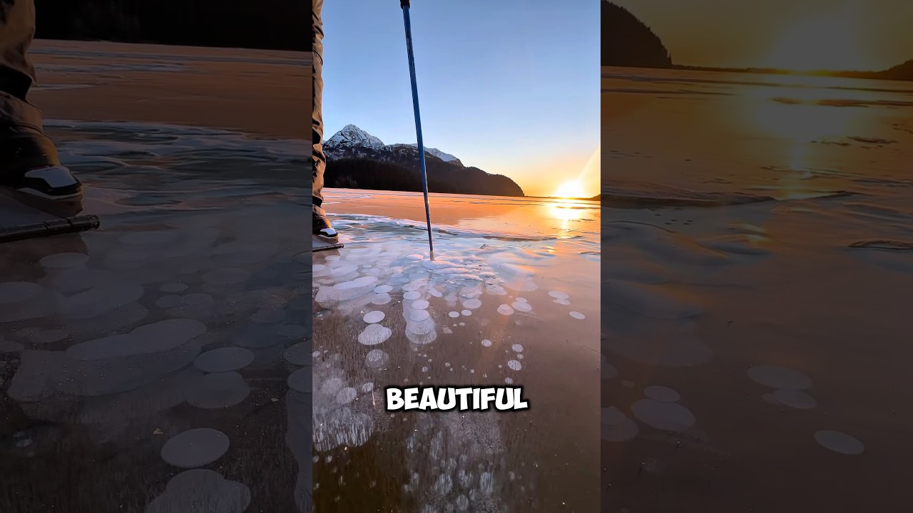 YouTube에서 Scientists Still Can’t Explain These Rare Phenomena 😨 #shorts 보기 YouTube에서 Scientists Still Can’t Explain These Rare Phenomena 😨 #shorts 보기