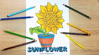 Sunflower coloring page for kids 🌻 Coloring tutorial