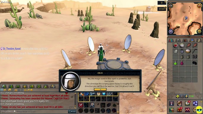 Runescape, Software