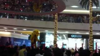 Lion Dance Show