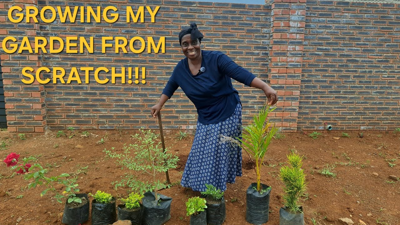 TRANSFORMING BARE SOIL INTO A BEAUTIFUL BEAUTIFUL GARDEN. WATCH THE MAGIC!😁