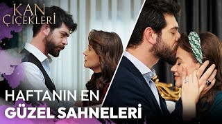 #DilBar En Sevilen Sahneler 18 - Kan Çiçekleri