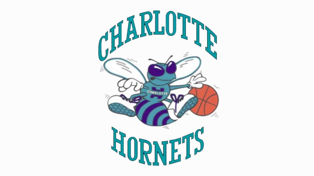 Charlotte Hornets Buzz - YouTube