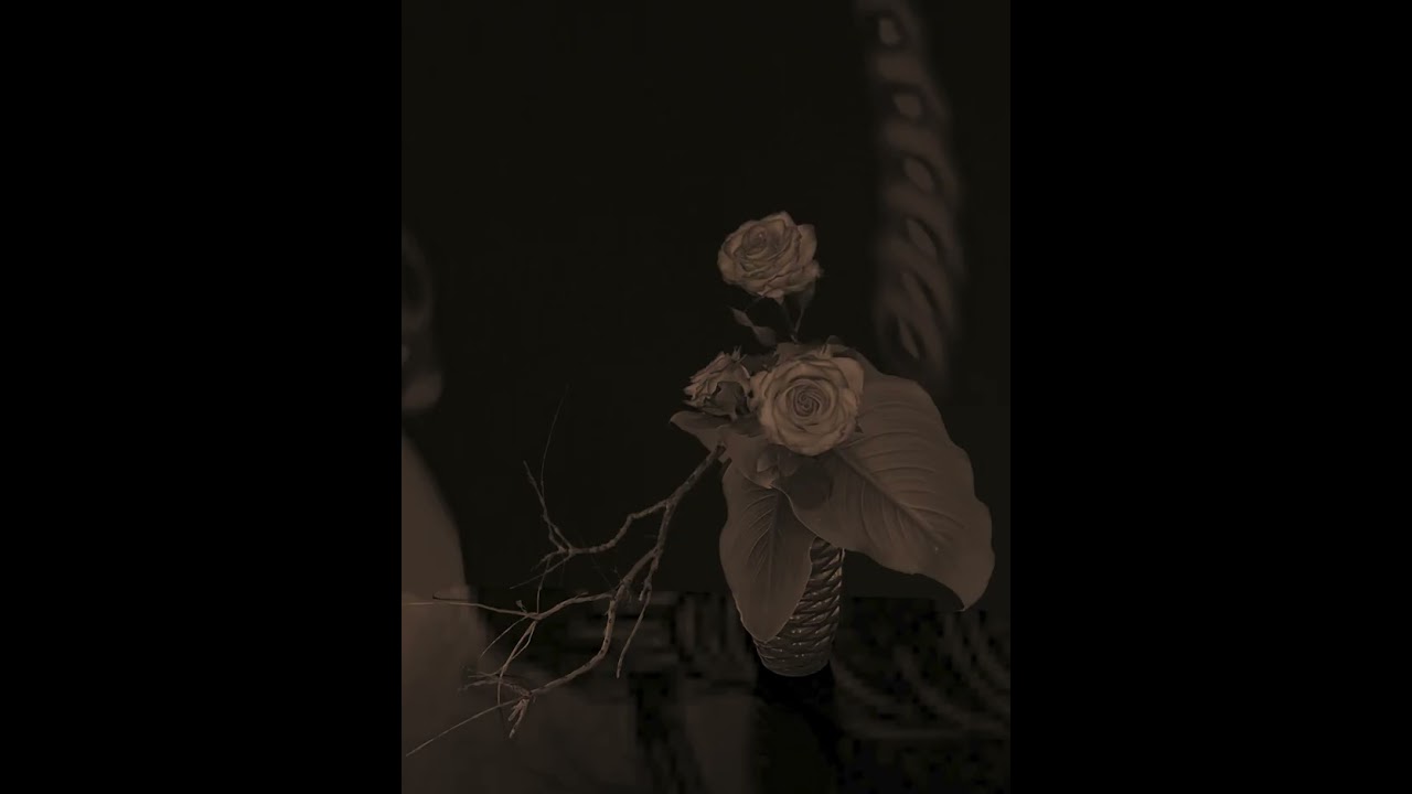 Coy Howard - Ikebana & Other Infidelities