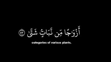 سورة طه • الآيات 49-55 • الشيخ الوليد الشمسان • القرآن الكريم شاشة سوداء | Surah Taha