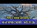 Ведьмак 3. Магический жёлудь с Лысой горы. Для чего он нужен,  и что с ним делать?