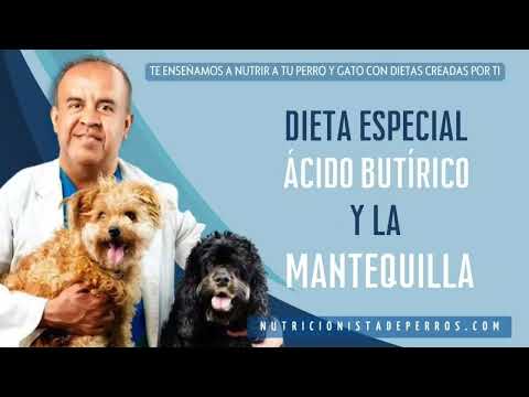 Dieta especial, ácido butírico y la mantequilla